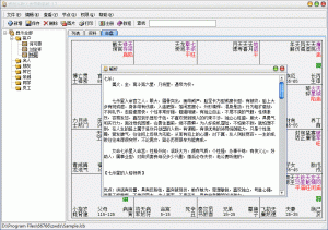 紫微斗数人生预测系统4